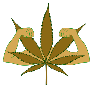CBD Products Pro